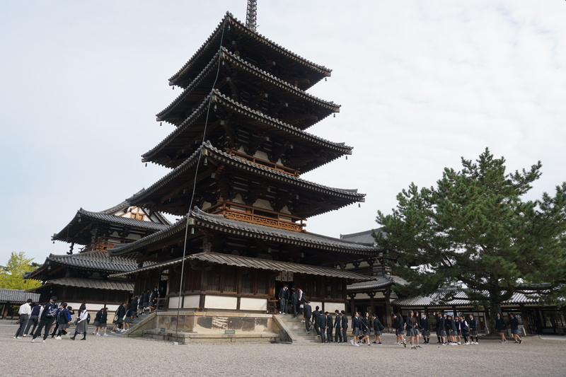 DSC02511 (1)